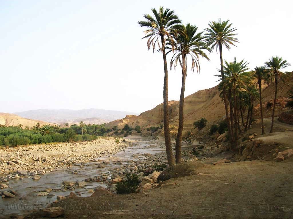 ولاية خنشلة